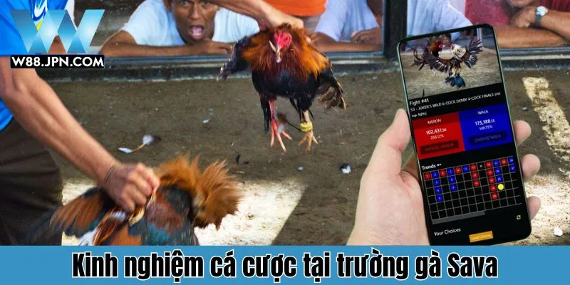 Trường Gà Savan W88